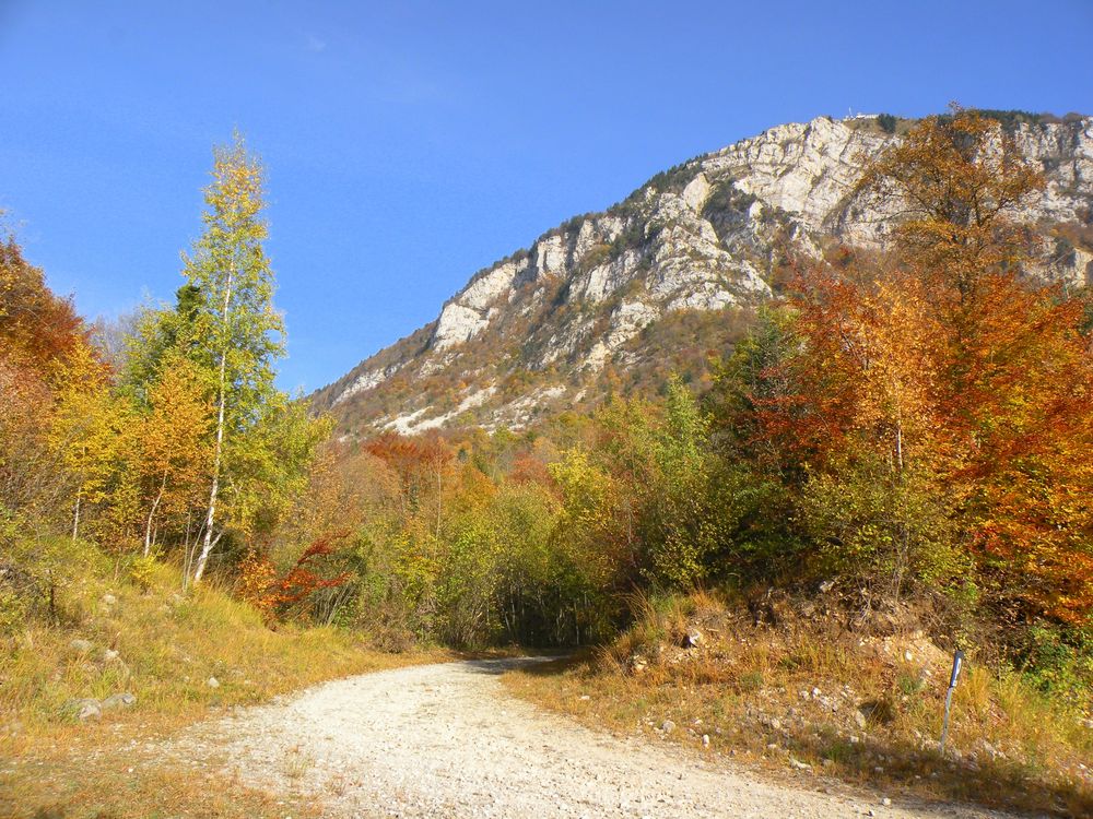 Couleurs automnales au Revard